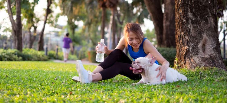 A woman and her dog exercise together.